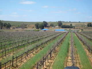 6 Bedroom Property for Sale in Koekenaap Western Cape